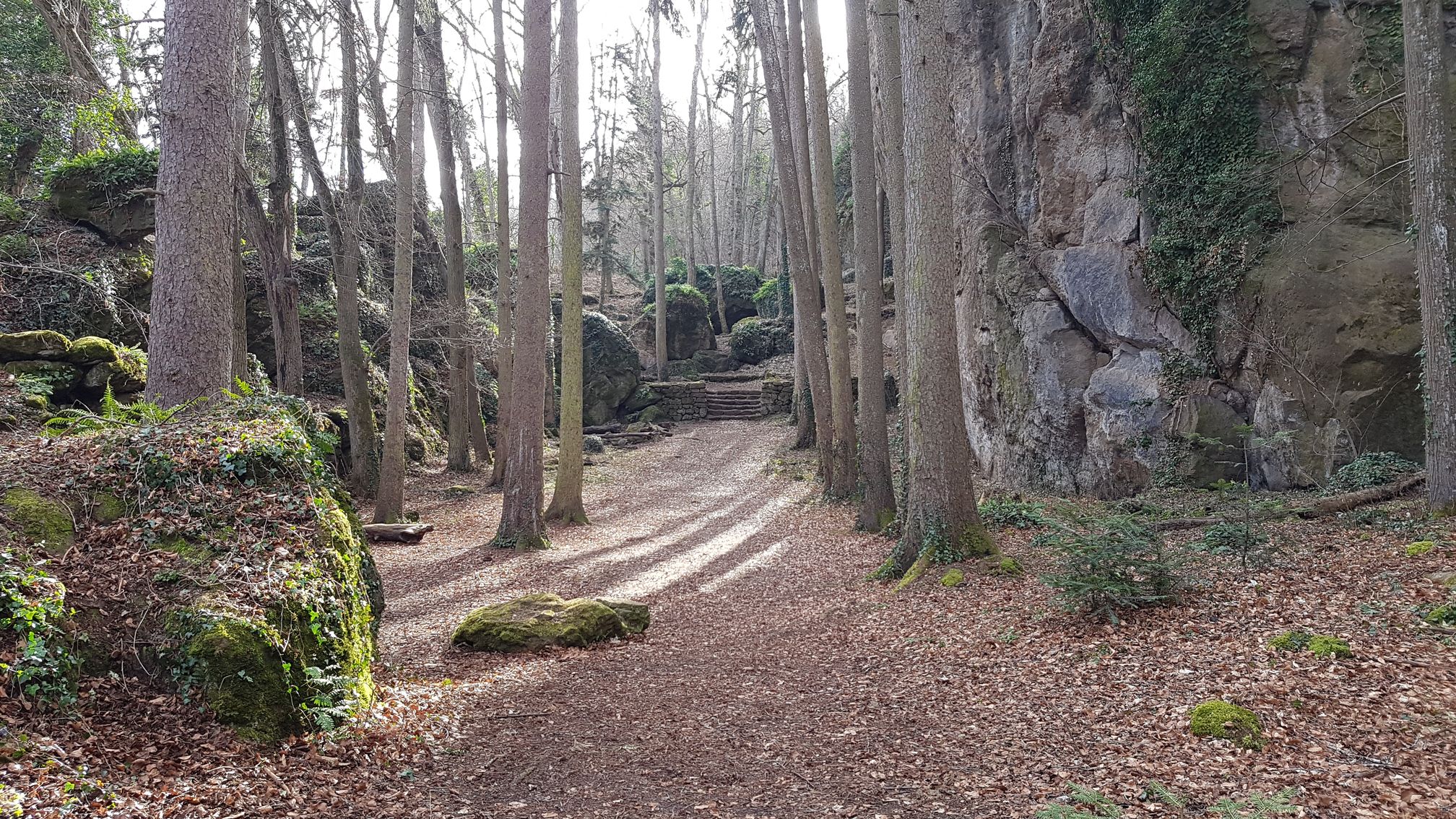 photo du bois des seigneurs
